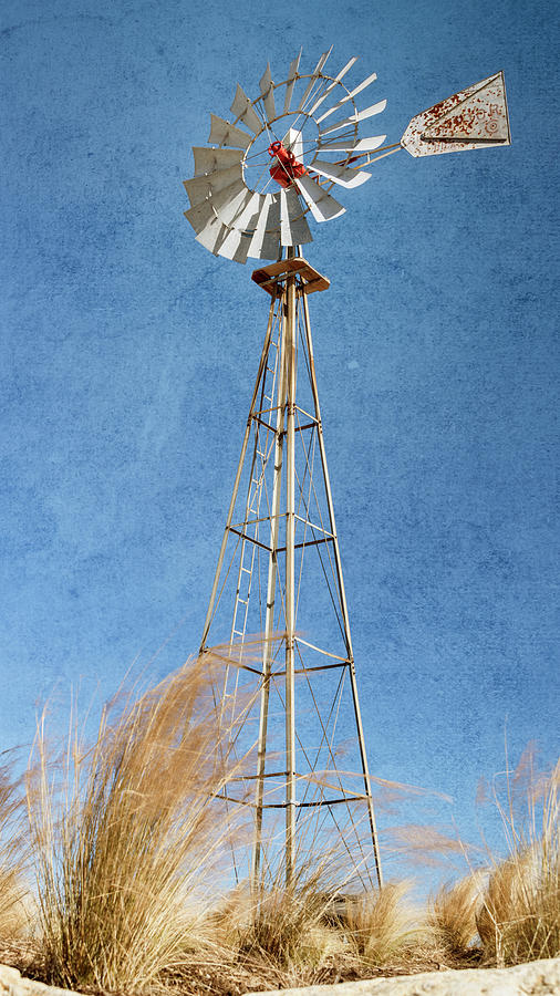 Texas Windmill Photograph by Joan Carroll