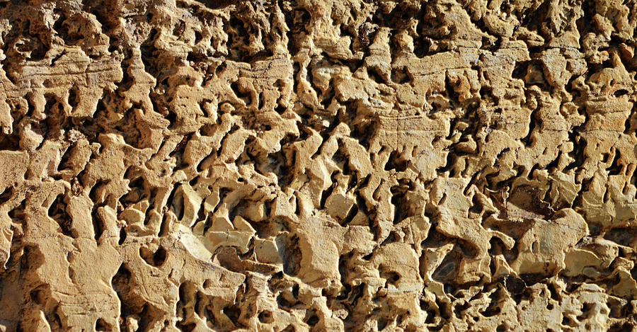 Texture of Stone Photograph by Whispering Peaks Photography