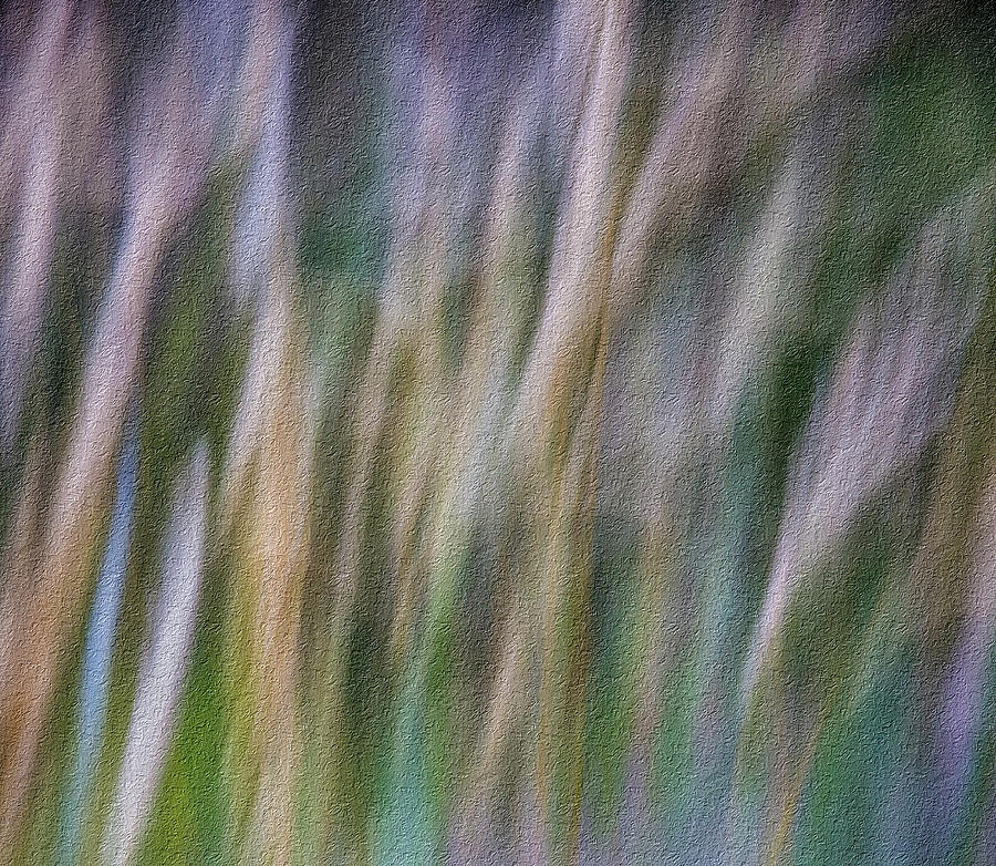 Textured Abstract Photograph by James Woody