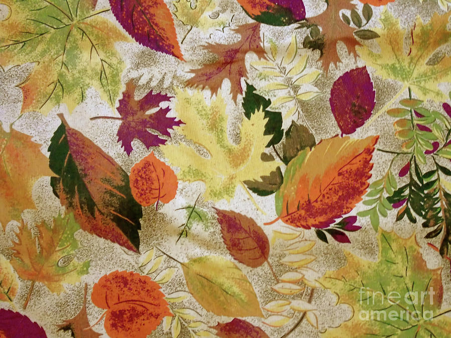 Textured Autumn Photograph by D Hackett