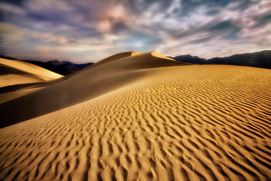 Textured Dunes  Photograph by Nicki Frates