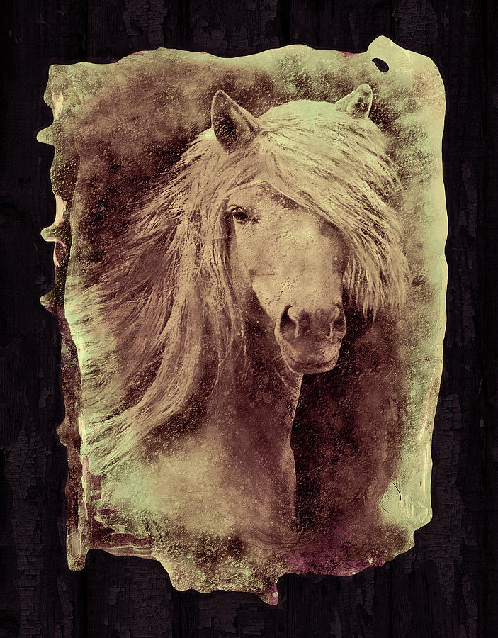 Textured Portrait Of A Horse Digital Art by Grace Iradian