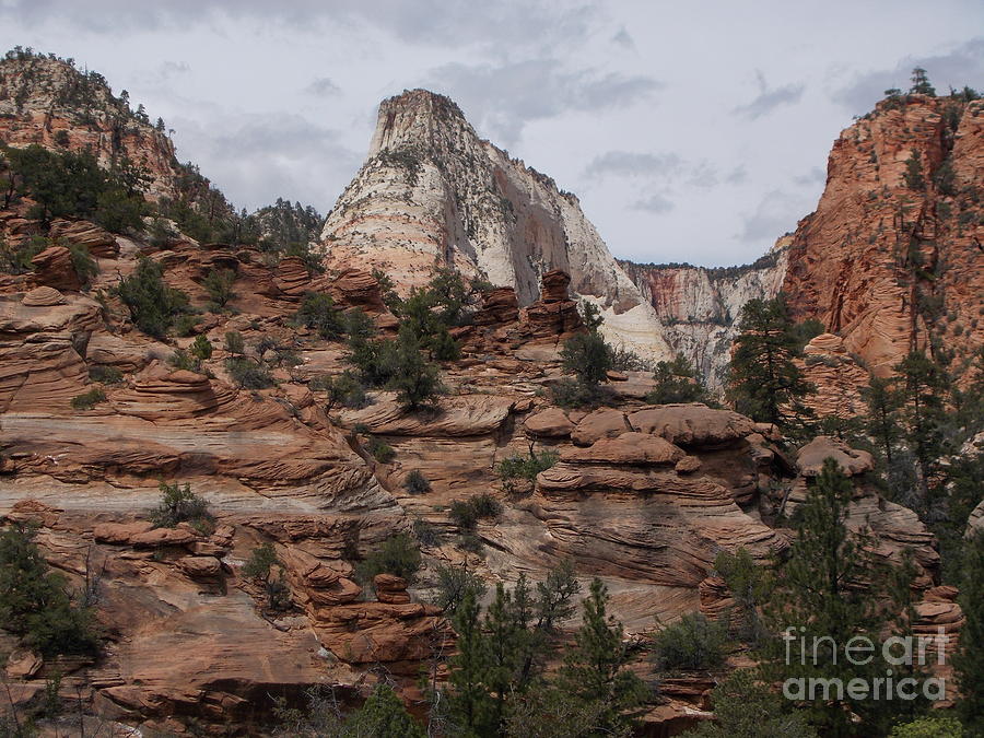 Textures and Layers ZION Photograph by Jerry Bokowski