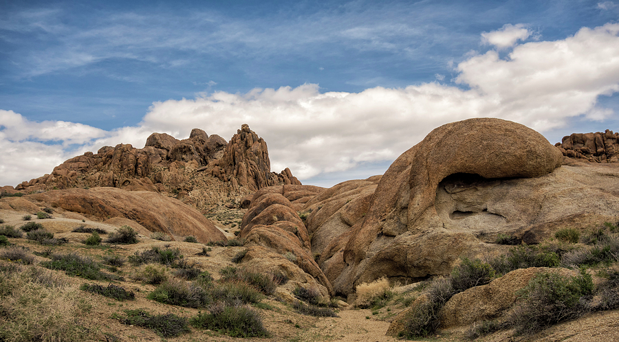Textures of the Alabama Hills Photograph by Loree Johnson