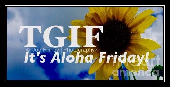 Tgif - Aloha Friday Photograph