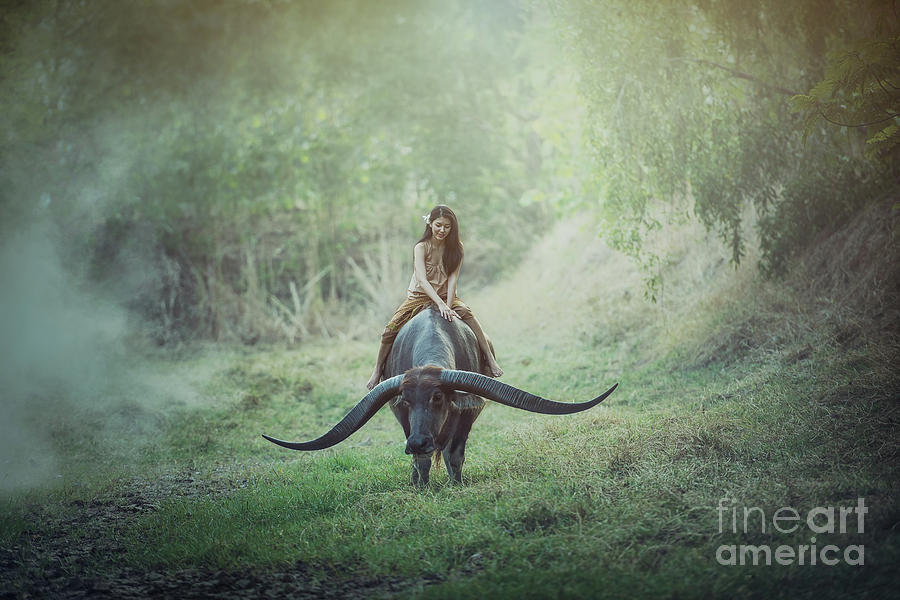 Thai beautiful woman riding long horn buffalo Photograph by Sasin ...