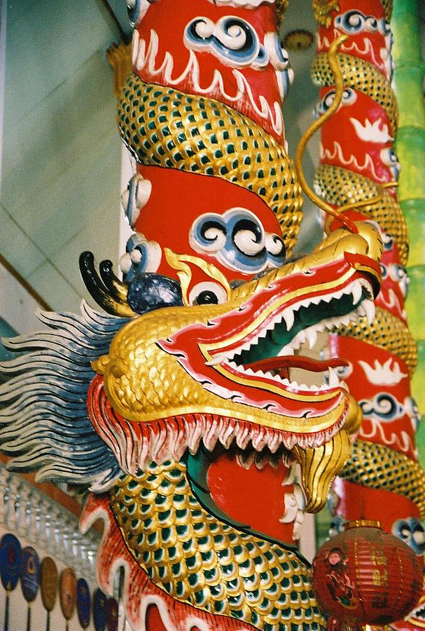 Thai Dragon Photograph by Mary Rogers