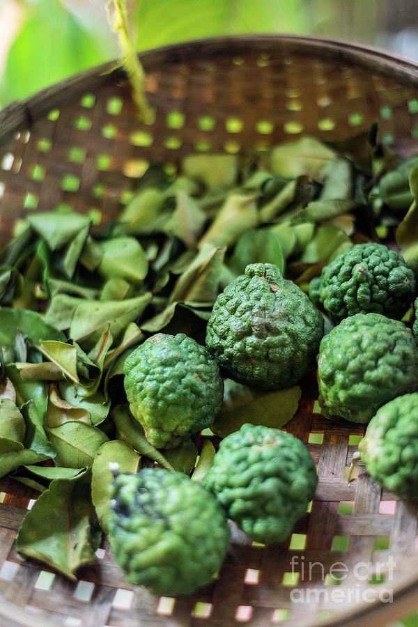 Thai Kaffir Lime Fruit And Dried Leaves In Rustic Ingredients Ba Photograph by JM Travel Photography