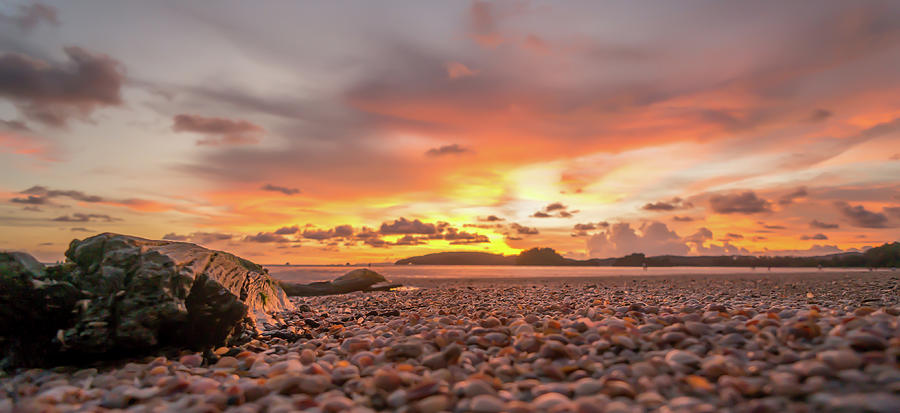 Thailand - Krabi - Driftwood Sunset Photograph by Ryan Kelehar