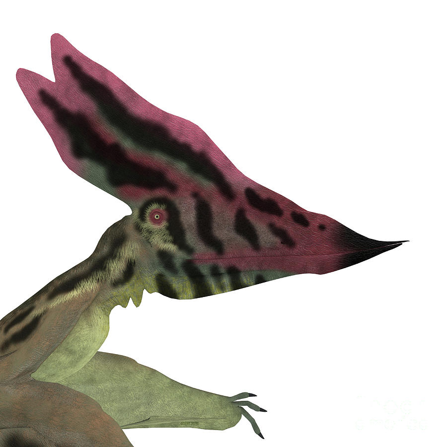 Thalassodromeus Pterosaur Head Painting by Corey Ford