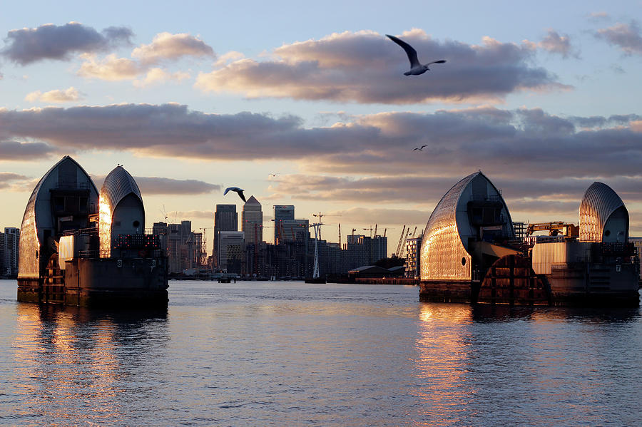 Thames Barrier and seagulls by Helga Novelli Thames Barrier and seagulls by Helga Novelli