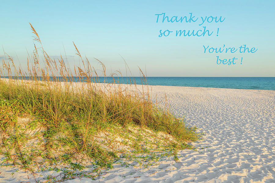 Thank You Card - Beach Photograph by Kay Brewer - Pixels