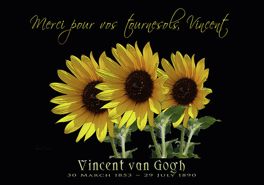Thank you for your sunflowers, Vincent Mixed Media by Robert J Sadler