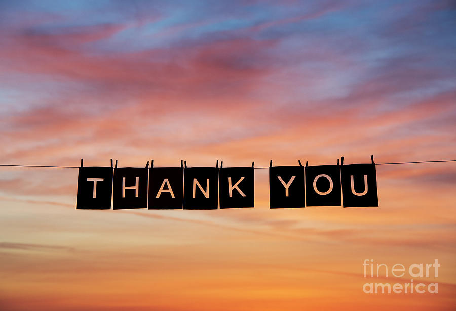Thank You Photograph - Thank You by Tim Gainey
