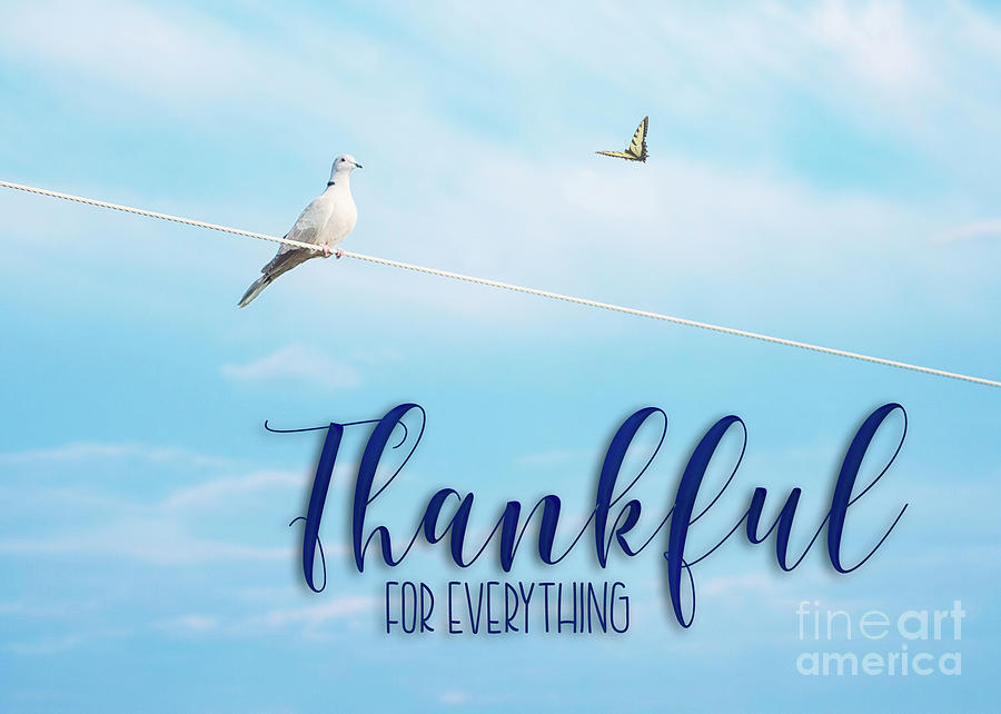 Thankful for Everything by Mechala Matthews Thankful for Everything by Mechala Matthews