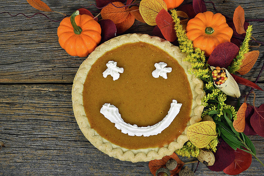 Fall Photograph - Thanksgiving Happy Pie by Maria Dryfhout