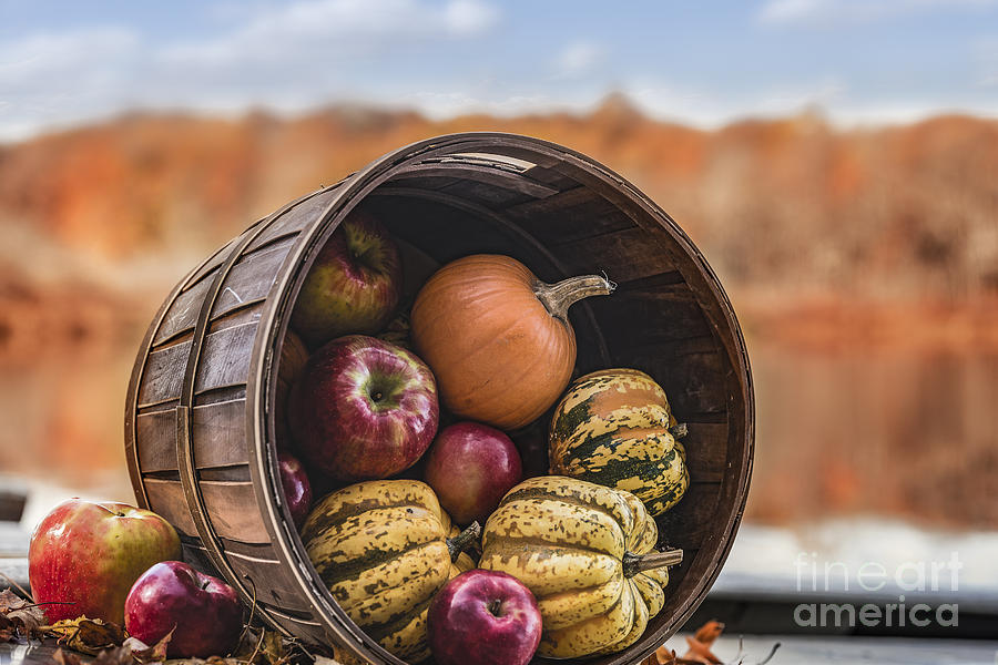 Thanksgiving Harvest Basket Photograph by Alissa Beth Photography