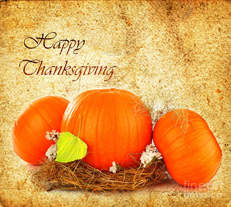 Thanksgiving holiday greeting card Photograph by Anna Om