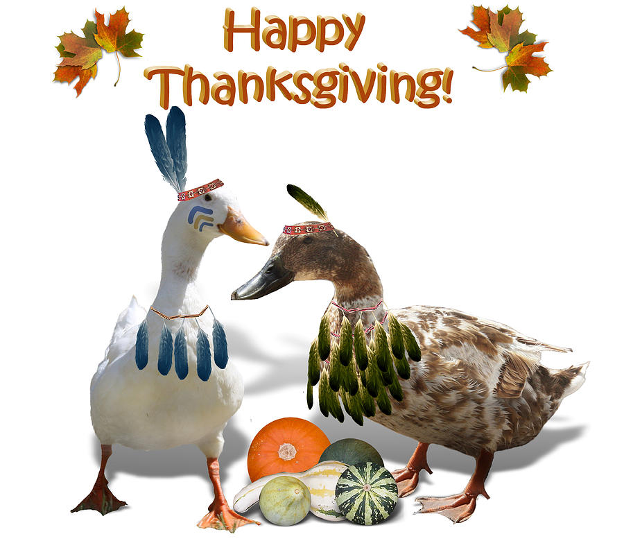 Thanksgiving Mixed Media - Thanksgiving Indian Ducks by Gravityx9  Designs