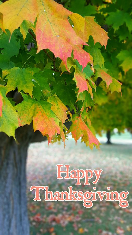 Thanksgiving Photograph - Thanksgiving by Yazid Ismail Thanksgiving Photograph - Thanksgiving by Yazid Ismail