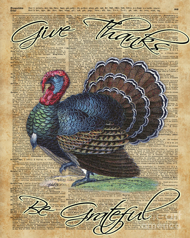 Turkey Digital Art - Thanksgiving Turkey Dictionary Art by Anna W