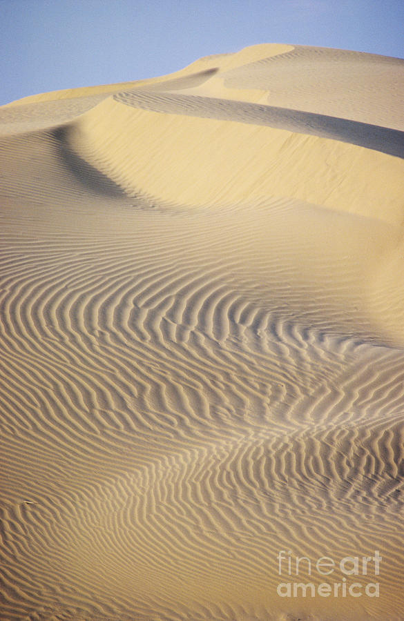 Thar Desert Dunes Photograph by Gloria & Richard Maschmeyer - Printscapes