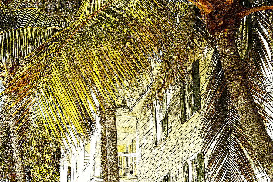 That Key West Feeling Photograph by Susan Vineyard