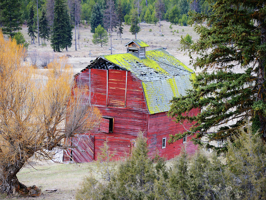 That Old Red Barn Photograph by Whispering Peaks Photography
