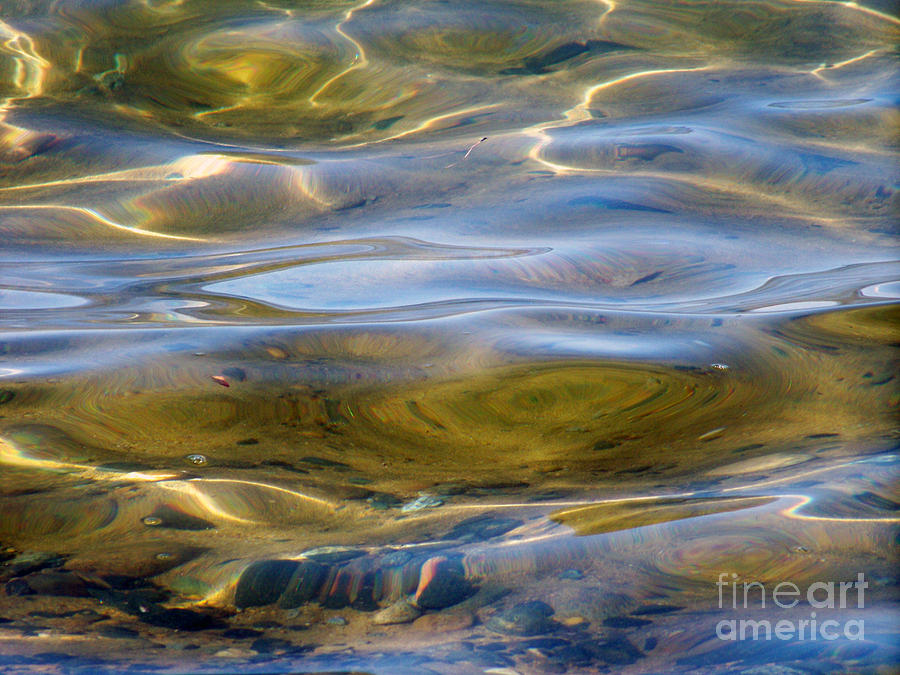 Nature Photograph - That Tahoe Gold by Brian  Commerford