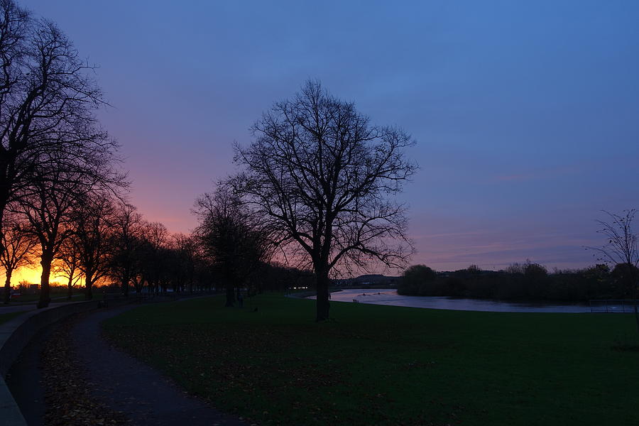 Sunrise Photograph - That Tree, 9th November, 2015 by Theresa Bristow