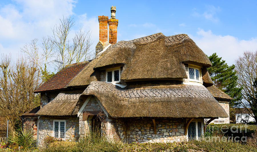 Thatched cottage Photograph by Colin Rayner