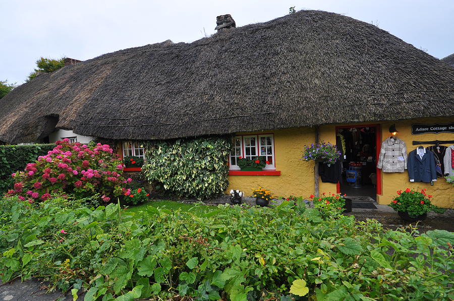 Thatched cottage Photograph by Herman Hagen