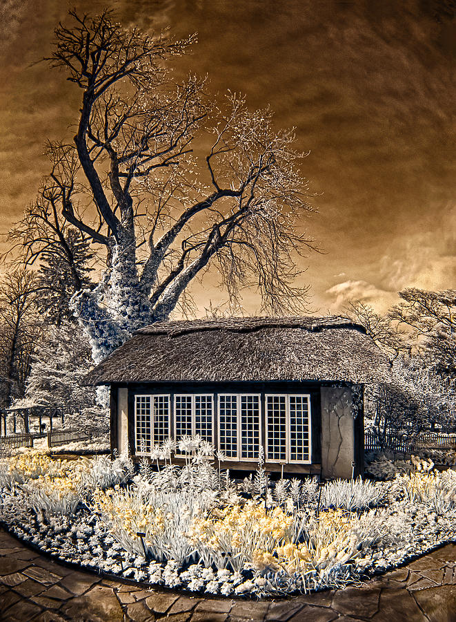 Thatched Cottage Photograph by Steve Zimic