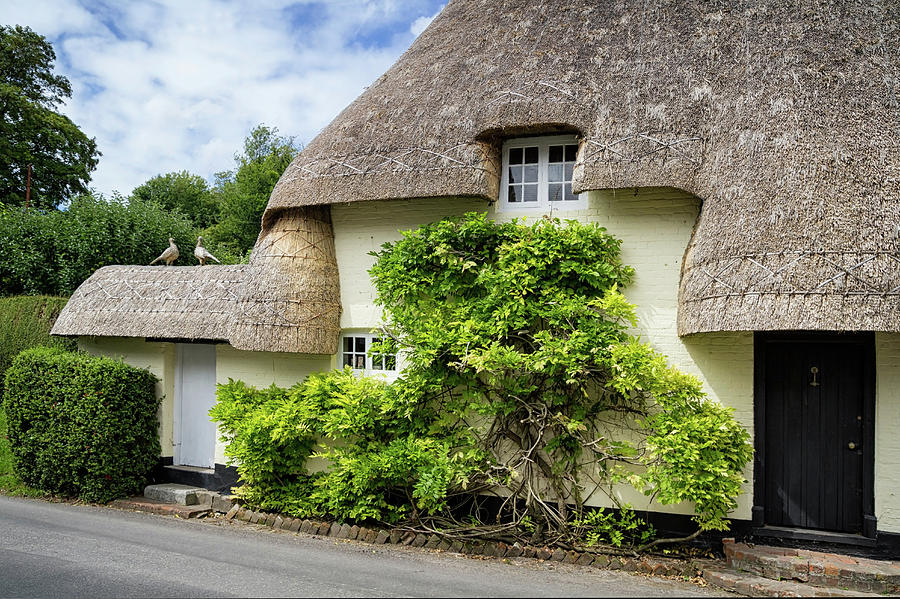 Thatched Cottages of Hampshire 19 Photograph by Shirley Mitchell
