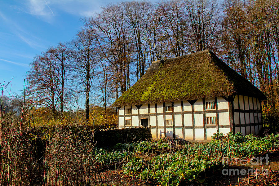 Thatched Farmhouse Photograph by SnapHound Photography