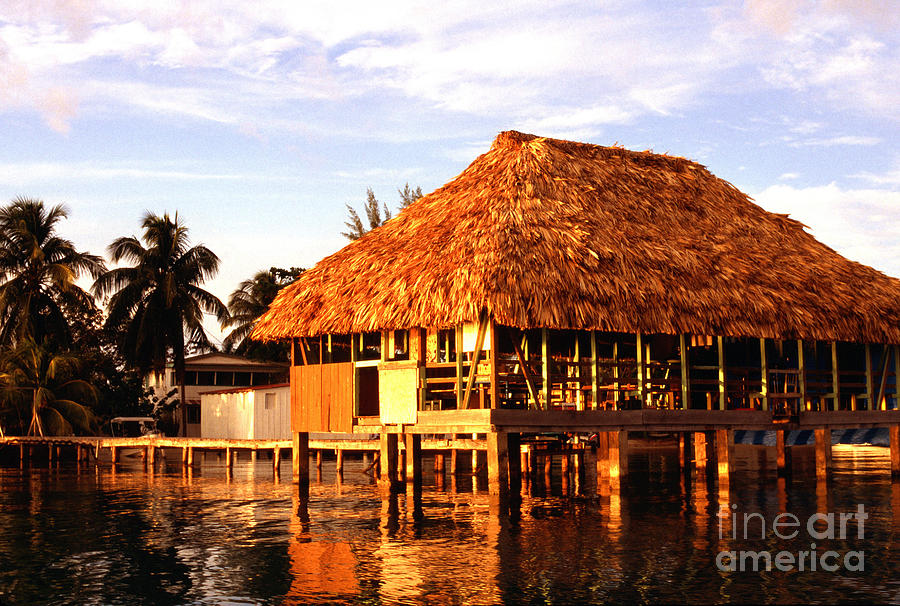 Thatched roof Placencia Photograph by Thomas R Fletcher