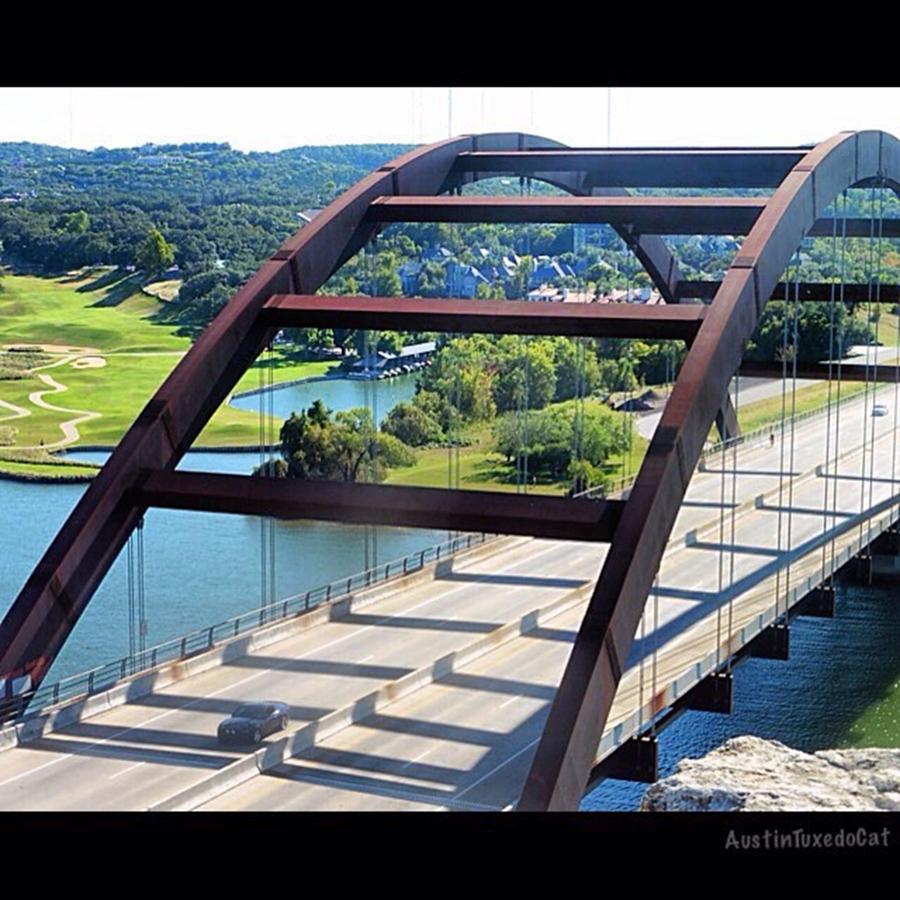 Bridge Photograph - Thats Just #water Under The #bridge by Austin Tuxedo Cat
