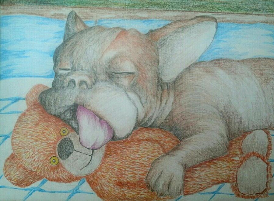 Thats my Teddy by Alan Kennedy Thats my Teddy by Alan Kennedy