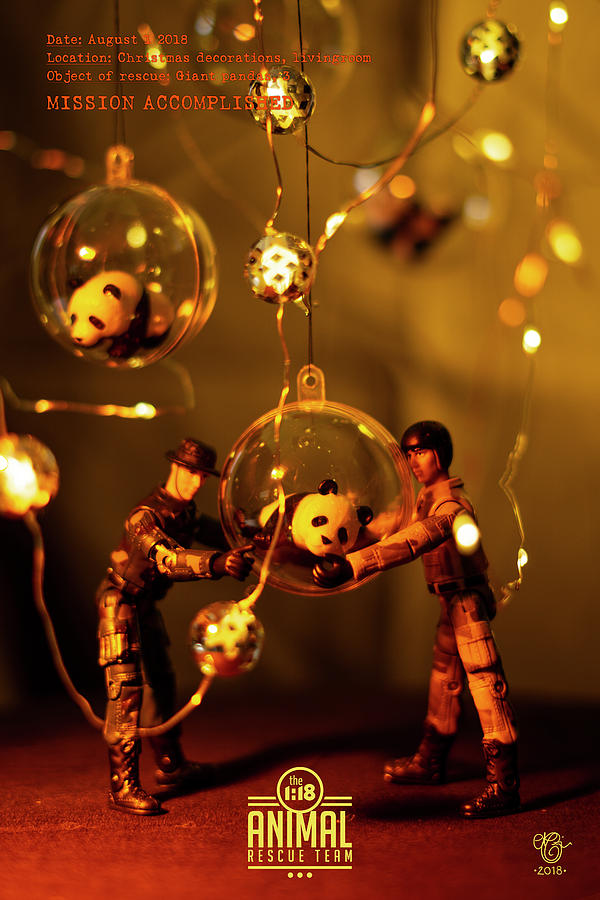 Miniature Photograph - The 1-18 Animal Rescue Team - Pandas in Christmas balls by Martine Carlsen Miniature Photograph - The 1-18 Animal Rescue Team - Pandas in Christmas balls by Martine Carlsen