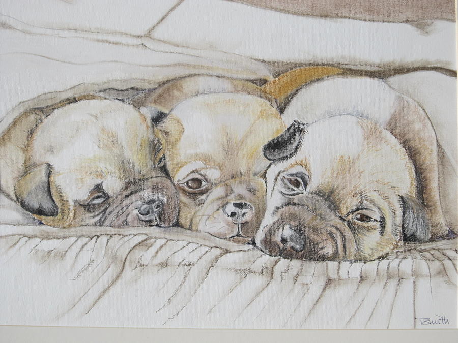 The 3 puppies Pastel by Teresa Smith