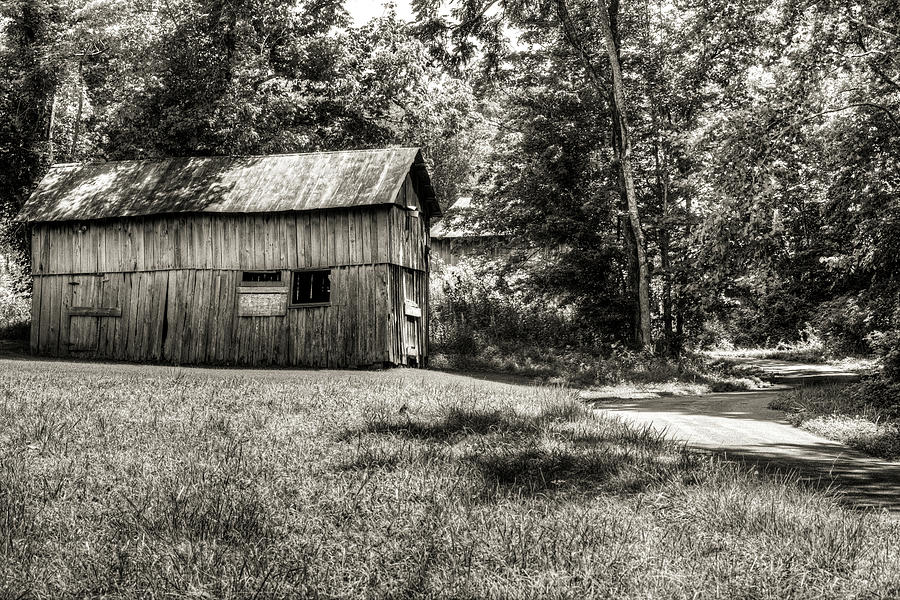 The Abandoned Shed in the Shade Photograph by Douglas Barnett