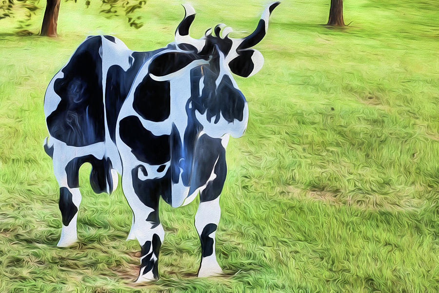 The Abilene Cow Photograph by JC Findley