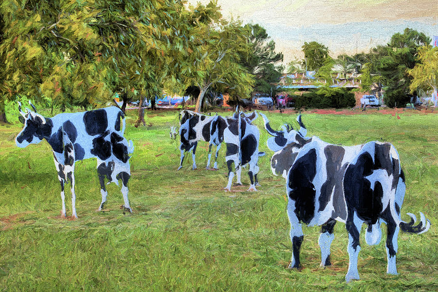The Abilene Cows Digital Art by JC Findley