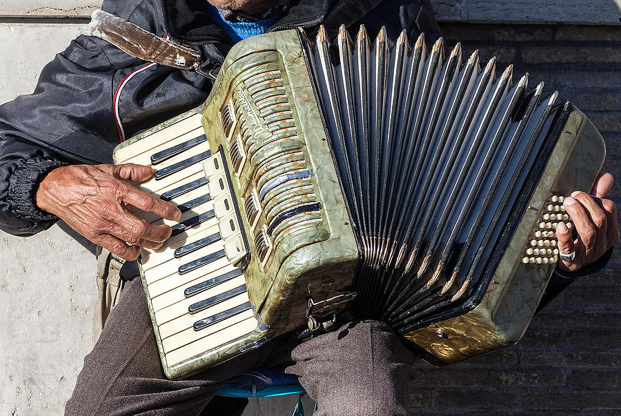 The Accordionist Photograph by Al Hurley