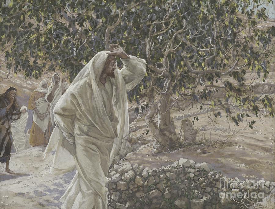 Jesus Christ Painting - The Accursed Fig Tree by Tissot