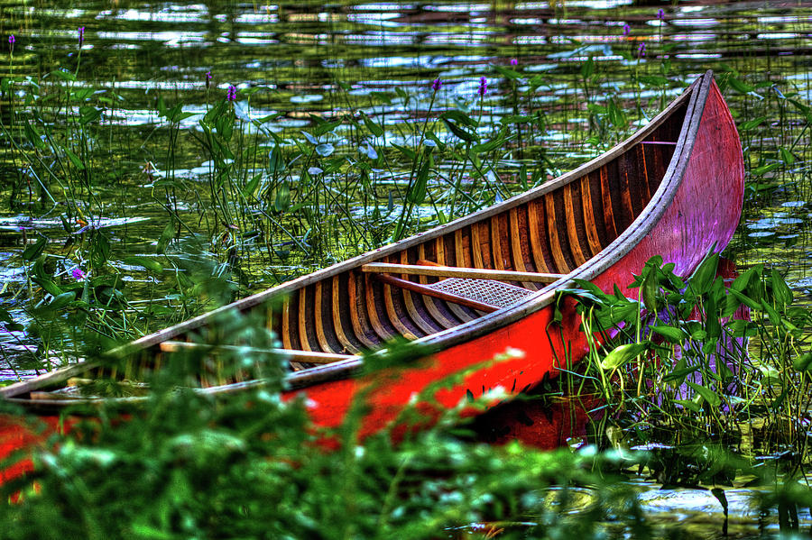 The Adirondack Guide Boat Photograph by David Patterson