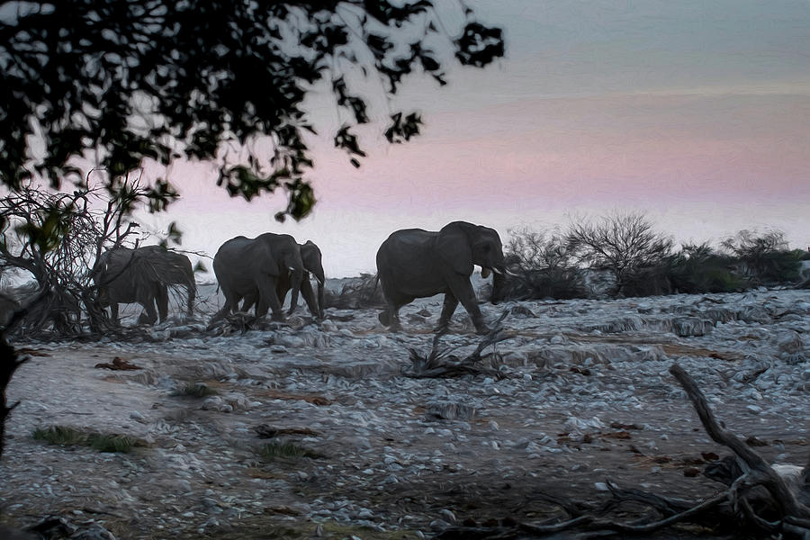 The African Elephants Digital Art by Ernest Echols