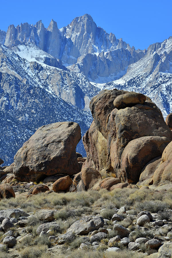 The Alabama Hills and Mt. Whitney Photograph by Ray Mathis