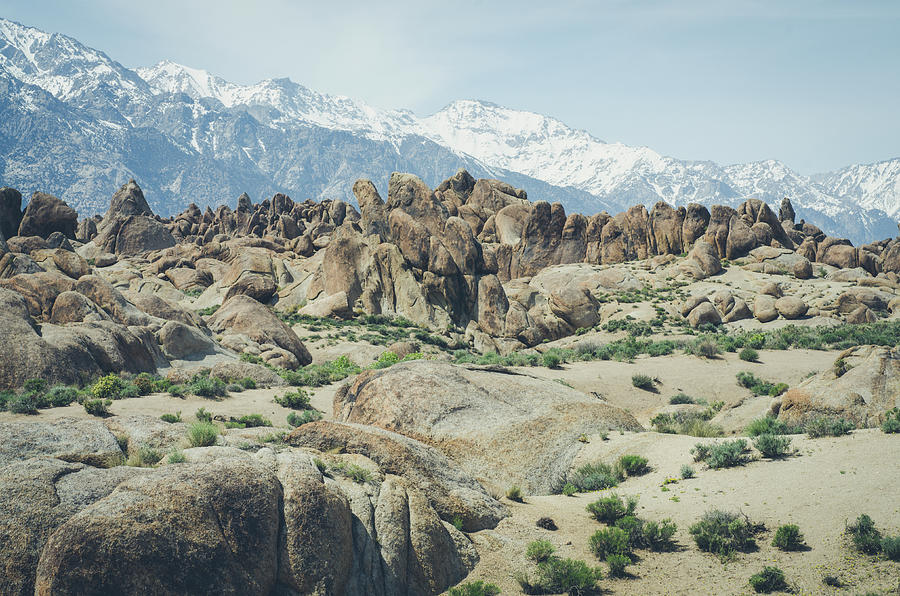 The Alabama Hills Photograph by Margaret Pitcher