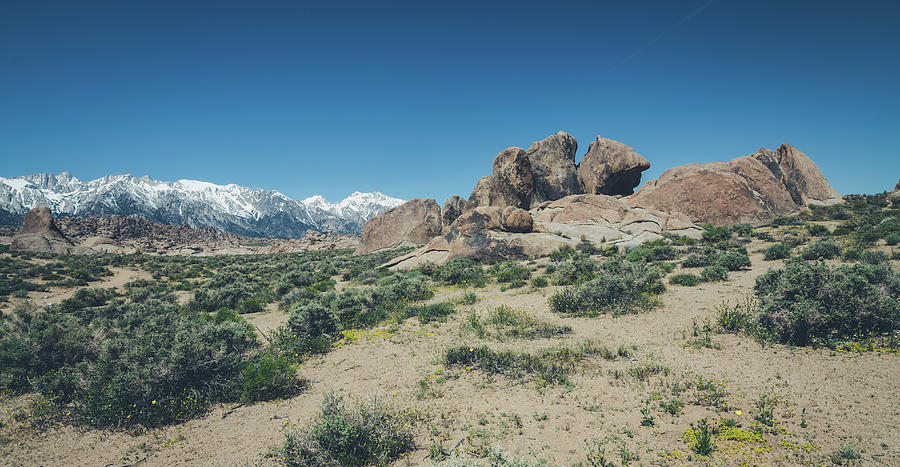 The Alabama Hills No.3 Photograph by Margaret Pitcher